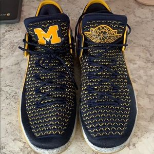 Michigan Jordan 31